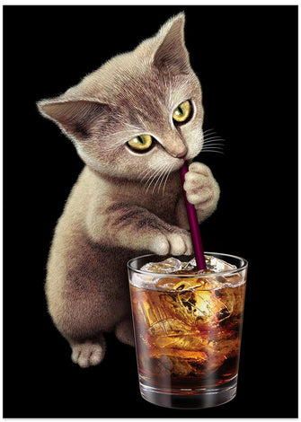 Canvas Art Print cat and soft drink