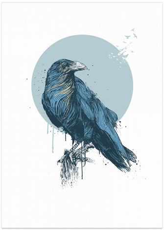 Canvas Art Print Blue crow