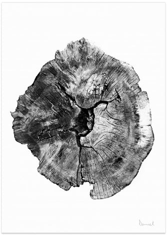 Art Prints of Oak Log