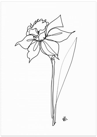 Art Prints of The Daffodil