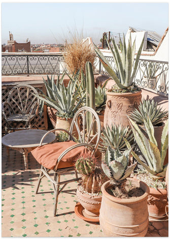 Art Prints of Rooftop in Marrakech