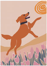 Art Prints of Frisbee Dog