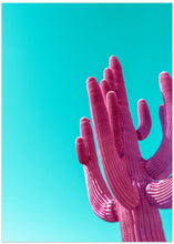 Art Prints of Magenta Pink Saguaro