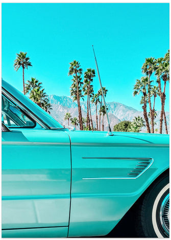 Art Prints of Teal Thunderbird in Palm Springs