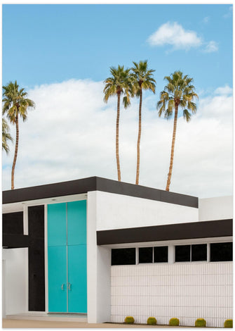 Art Prints of Turquoise Blue Doors on a Modern Home