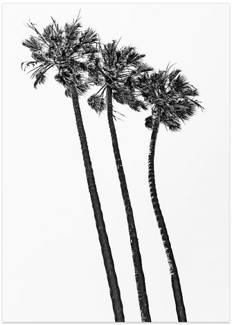 Art Prints of Summer idyll with palm trees