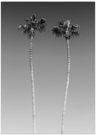 Art Prints of Idyllic Palm trees | Monochrome