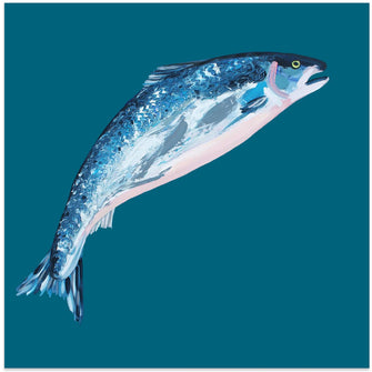 Art Prints of Leaping Salmon