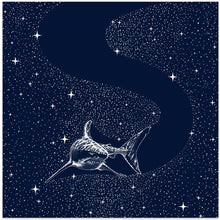 Art Prints of Starry Shark