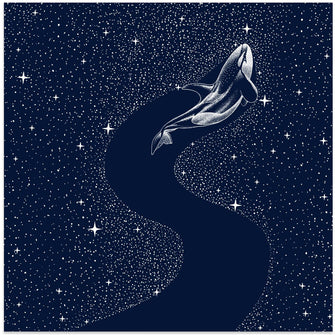 Art Prints of Starry Orca