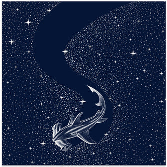 Art Prints of Starry Hammerhead